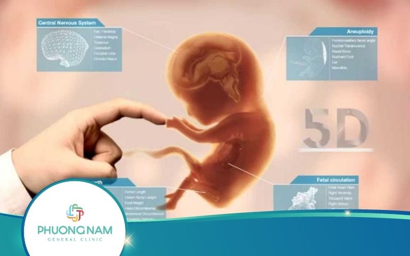 Siêu Âm 5D Có Hại Không? – Những Mốc Siêu Âm 5D Quan Trọng