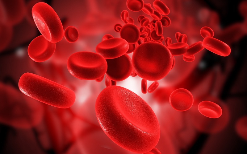 Xét nghiệm máu rbc là gì