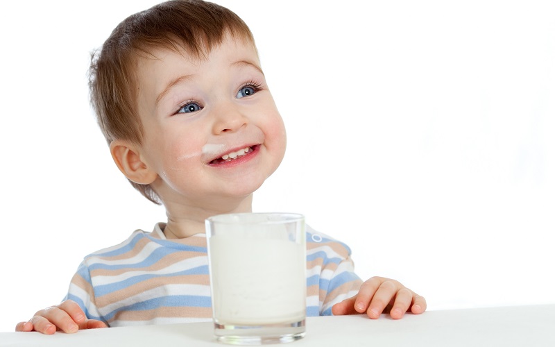 bé 2 tuổi nên uống sữa tươi hay sữa bột