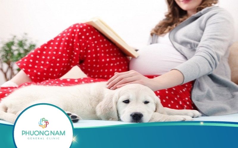 Nuôi Chó Có Ảnh Hưởng Đến Thai Nhi Không? Nguy Hiểm Ra Sao?