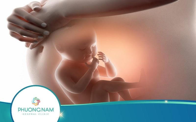Ý Nghĩa Của Việc Thai Nhi Trườn Trong Bụng Mẹ Ít Ai Biết