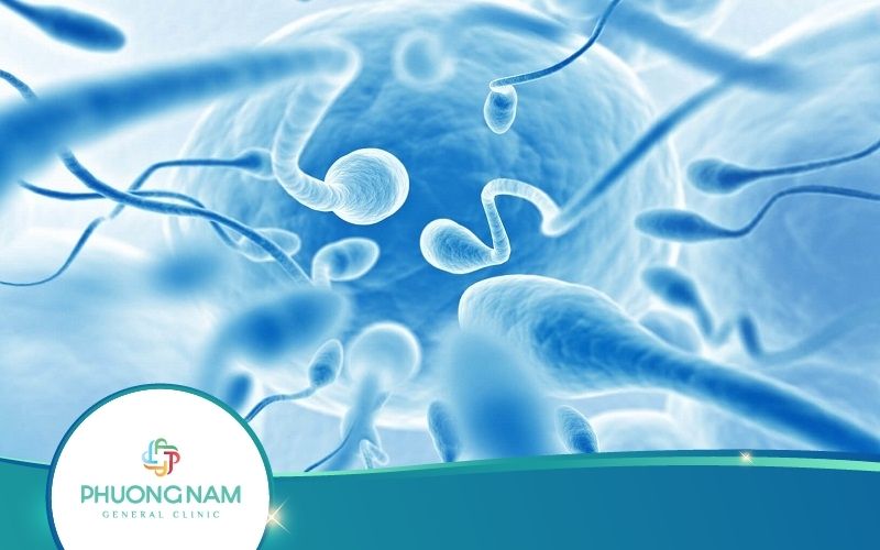[Quan Trọng] Tinh Trùng Yếu Có Ảnh Hưởng Đến Thai Nhi Không?