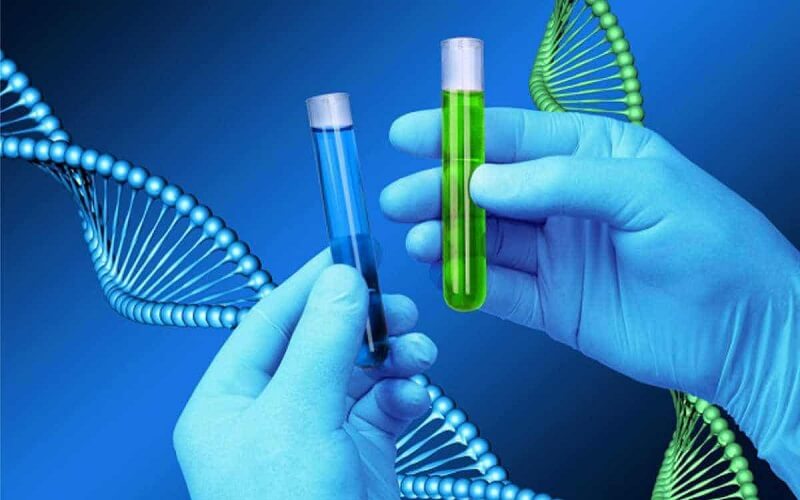 Xét nghiệm ADN thai nhi không xâm lấn -2