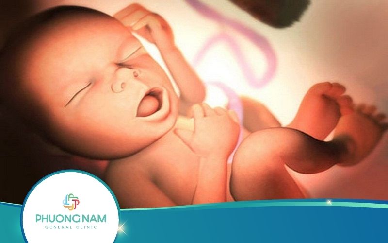 Bé Nấc Cụt Trong Bụng Mẹ Và Những Điều Có Thể Bạn Chưa Biết