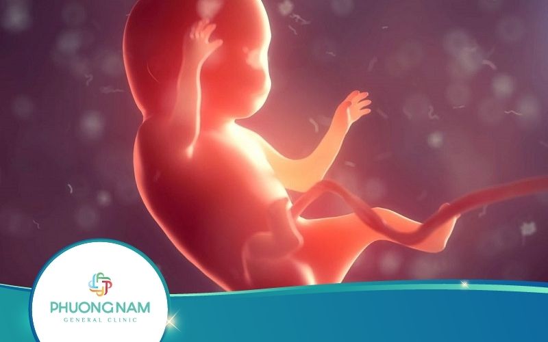 4 Dấu Hiệu Thai Nhi Đói Và Cách Giải Quyết Đúng Nhất