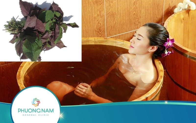 [Thực Hư] Tắm Trắng Bằng Lá Tía Tô Có Hiệu Quả Như Lời Đồn?