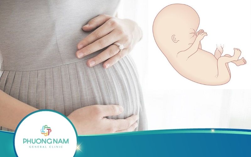 Thai Nhi Giật Giật Trong Bụng Có Nguy Hiểm Không?