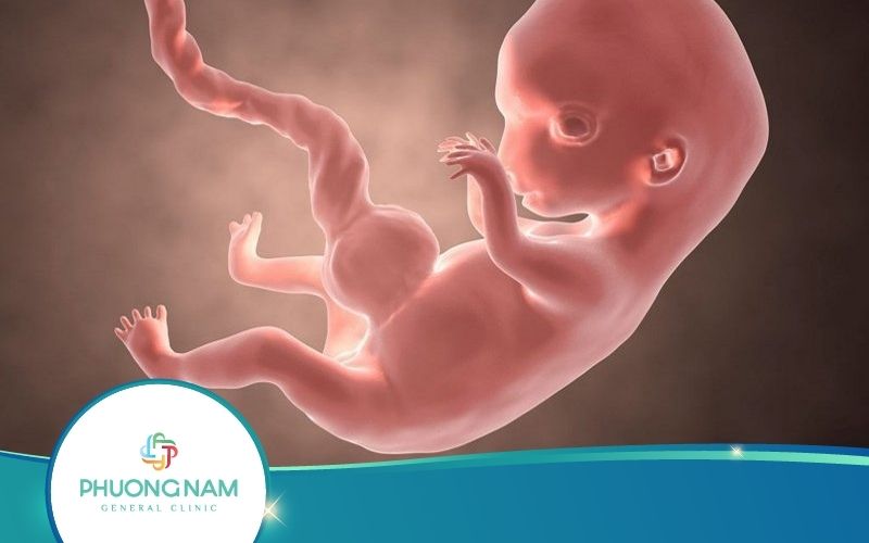 Nguyên Nhân Thai Nhi Không Tăng Cân Là Gì? Biểu Hiện Ra Sao?