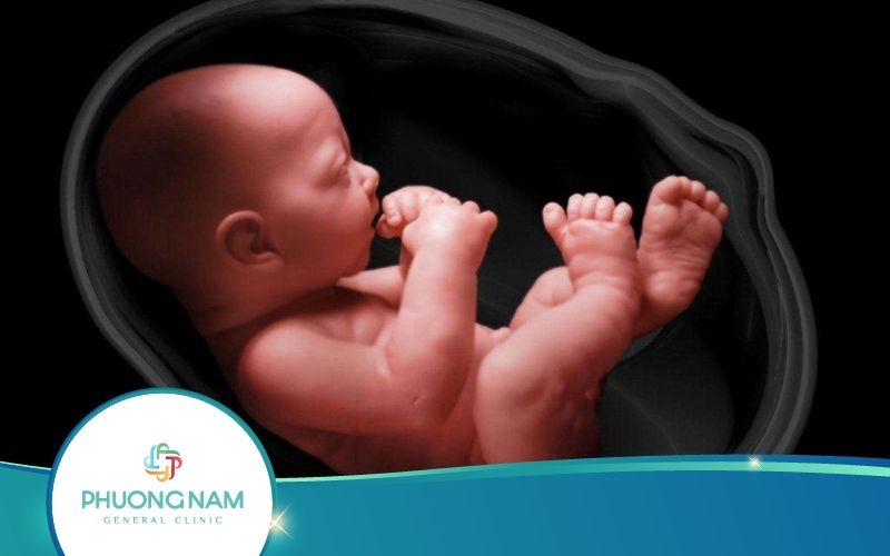 Thai Nhi Bị Nấc Cụt Nhiều Lần Trong Ngày Có Nguy Hiểm Không?