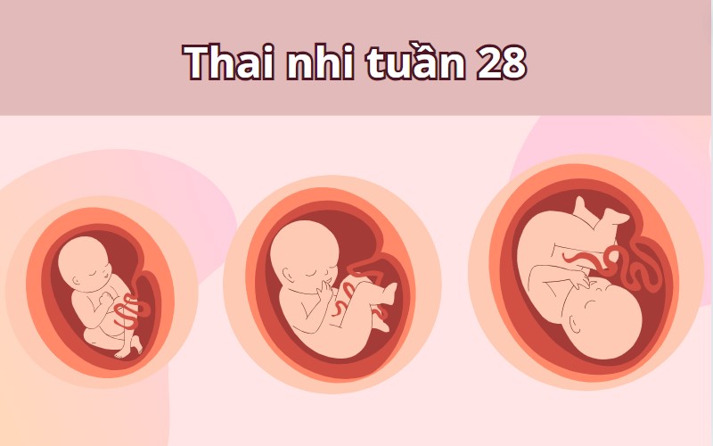 thai nhi quay đầu ở tuần 28 có sao không