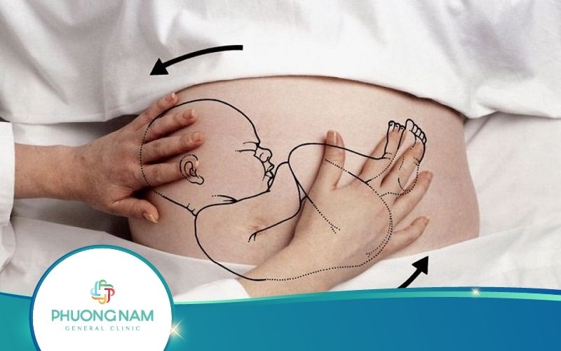 Thai Nhi Quay Đầu Mấy Lần Trong Suốt Thai Kỳ?