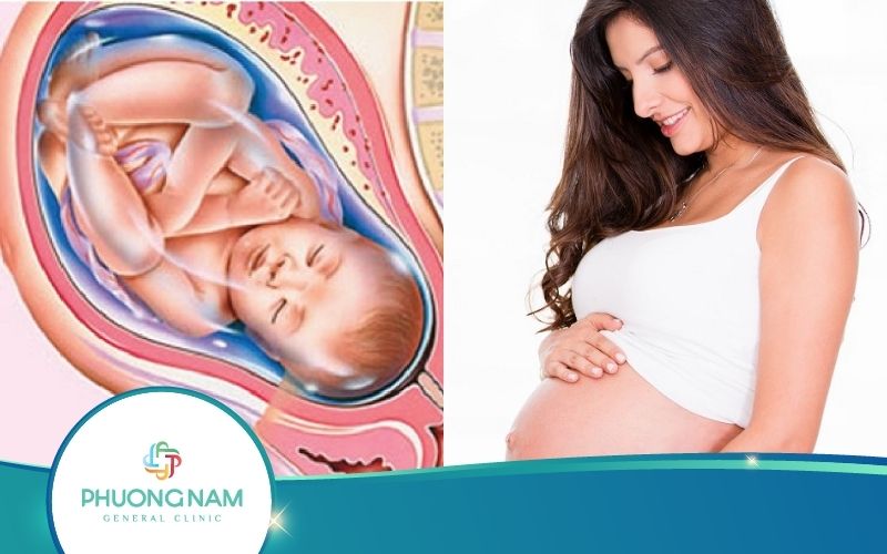 Thai Nhi Quay Đầu Thì Khi Nào Sinh? – Bác Sĩ Giải Đáp