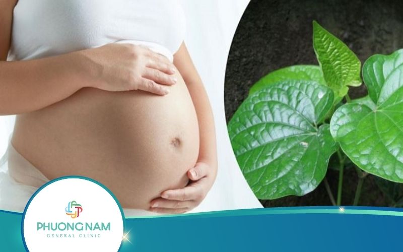 Bầu 3 Tháng Đầu Ăn Lá Lốt Được Không? Ăn Thế Nào Đúng Cách?