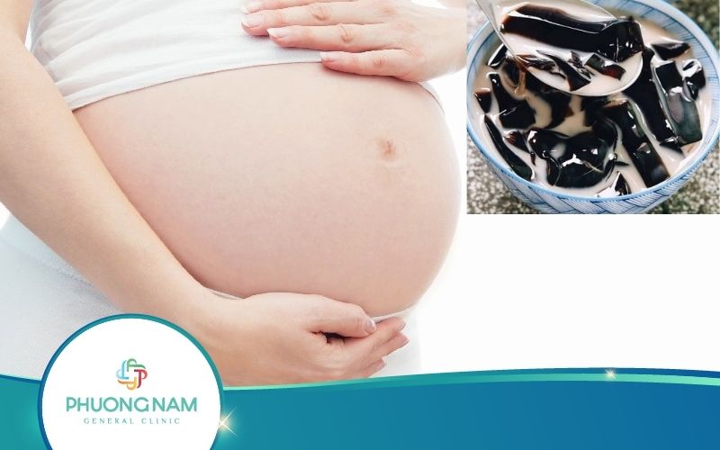 [Giải Đáp] Bầu 3 Tháng Đầu Ăn Sương Sáo Được Không?