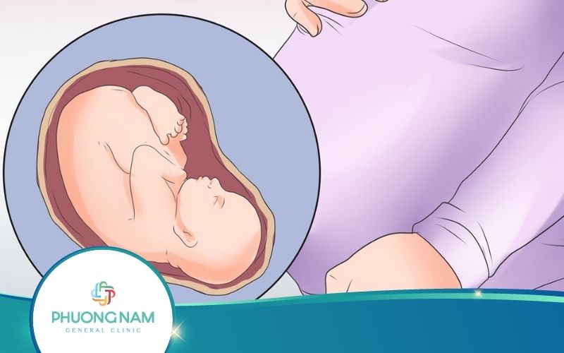 Thai Nhi 31 Tuần Đã Quay Đầu Chưa? – Mẹ Bầu Nên Biết