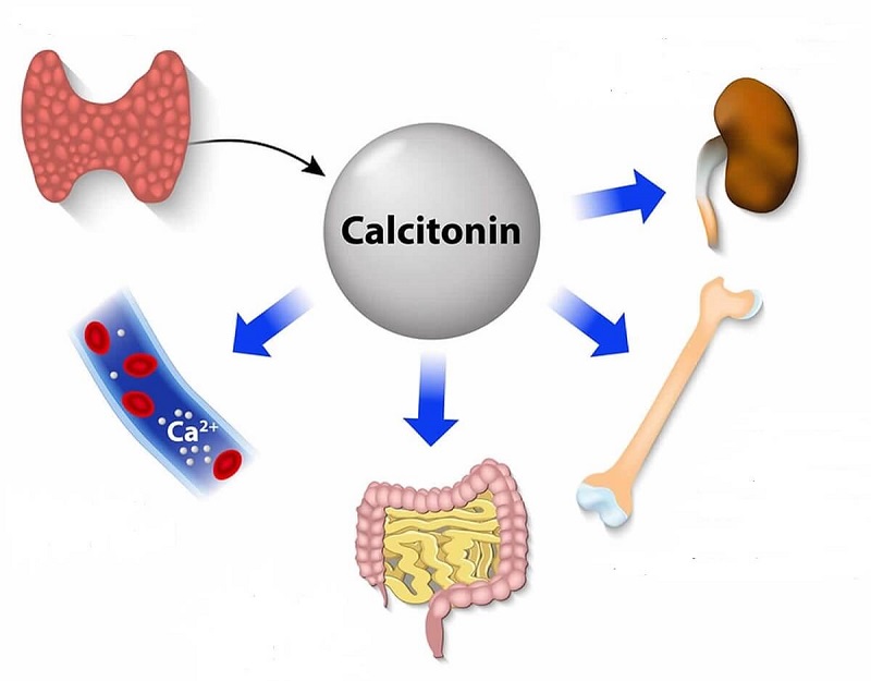 xet-nghiem-calcitonin-1