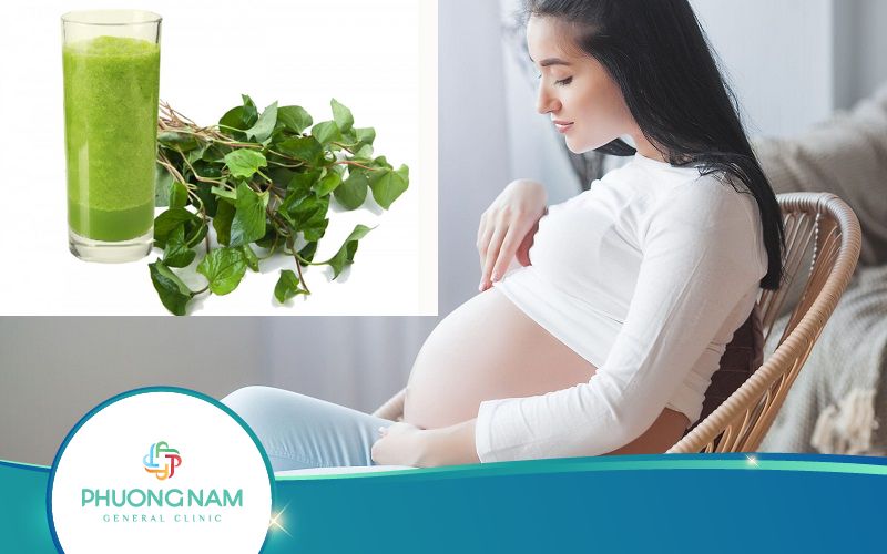Mẹ Bầu Ăn Rau Diếp Cá Được Không? Giải Đáp Ngay!