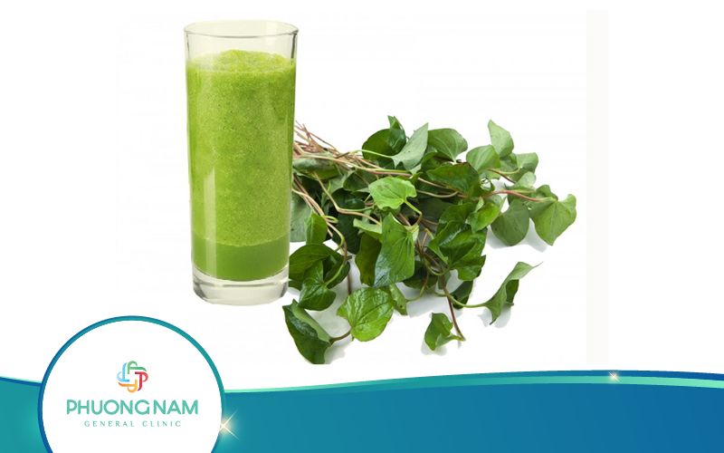 Nên Uống Rau Diếp Cá Vào Lúc Nào Trong Ngày Tốt Nhất?