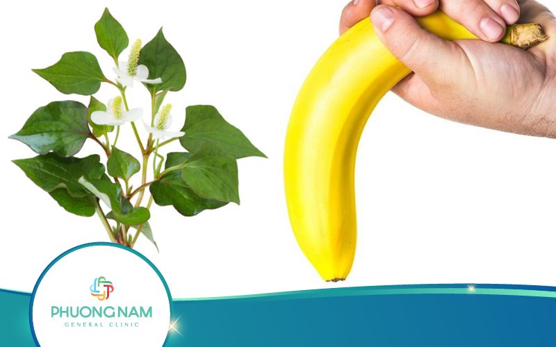 Dùng Rau Diếp Cá Chữa Rối Loạn Cương Dương Như Thế Nào?