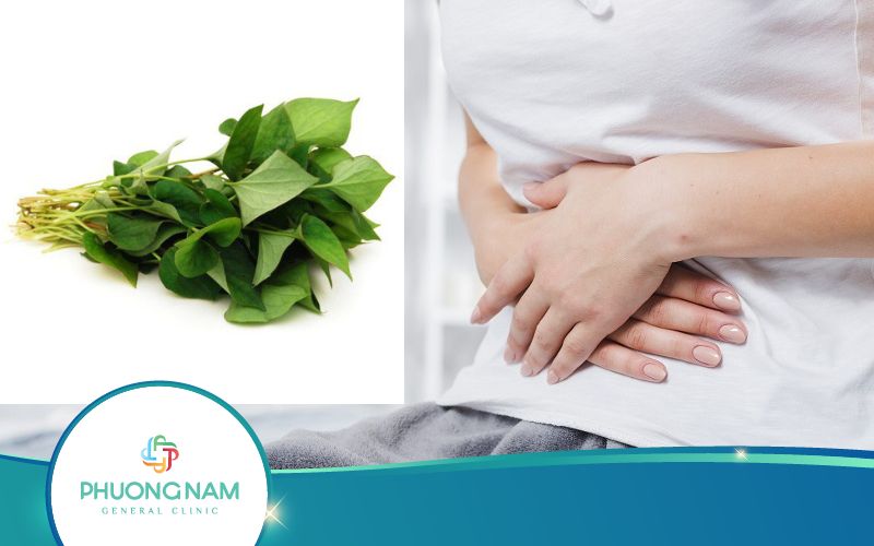 Tác Hại Của Rau Diếp Cá Là Gì? Thông Tin Quan Trọng!