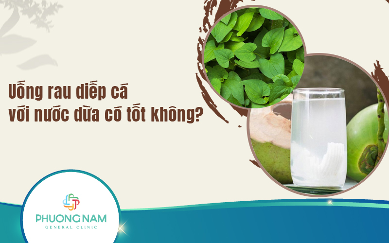 Uống rau diếp cá với nước dừa có tốt không? Có lợi cho sức khỏe thế nào?