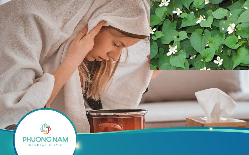Xông Mặt Bằng Rau Diếp Cá Trị Mụn Như Thế Nào?
