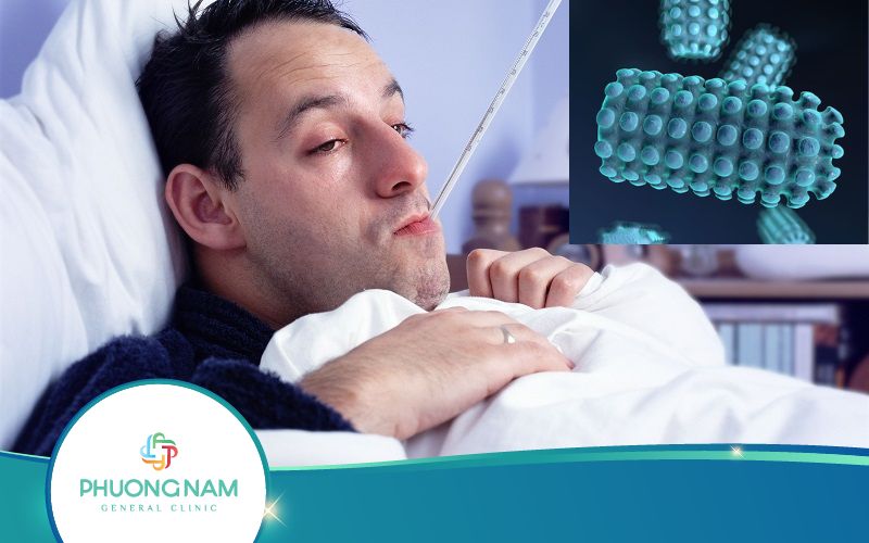 Thời Gian Ủ Bệnh Dại Ở Người Là Bao Lâu?