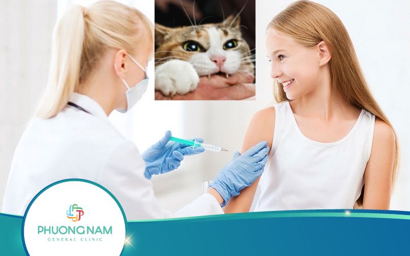Liệu Có Nên Đi Tiêm Phòng Dại Sau 5 Ngày Bị Mèo Cắn Không?