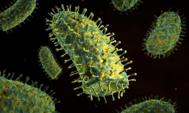 Virus dại sống được trong điều kiện nào?