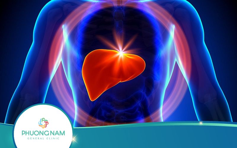 Viêm Gan B Thể Ngủ Là Gì? Có Chữa Được Không?