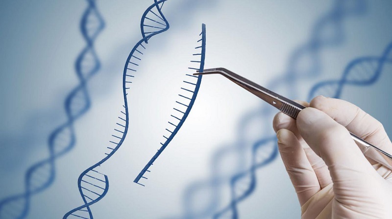 Bảng kết quả xét nghiệm ADN có ý nghĩa như thế nào?