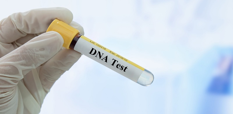 Có thể xét nghiệm ADN ông - cháu không?