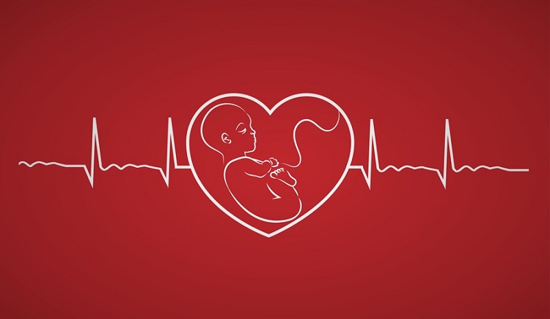 Siêu âm tim thai nhịp tim bao nhiêu là bình thường?