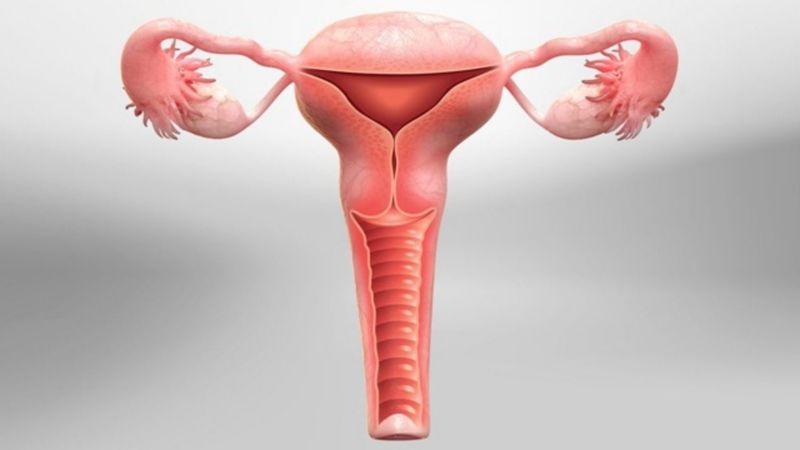 Ưu điểm cắt cổ tử cung nội soi