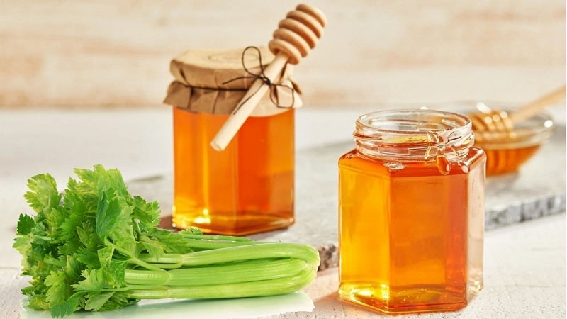 Cách uống cần tây mật ong giảm cân hiệu quả