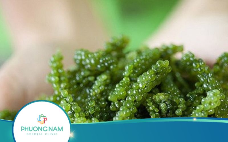 Cách Uống Tảo Xoắn Để Giảm Cân Nhanh Chóng