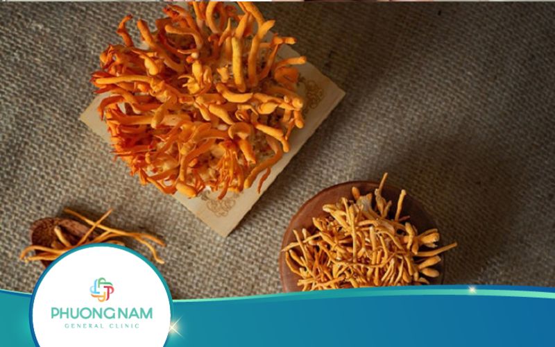 Uống Đông Trùng Hạ Thảo Có Giảm Cân Không?