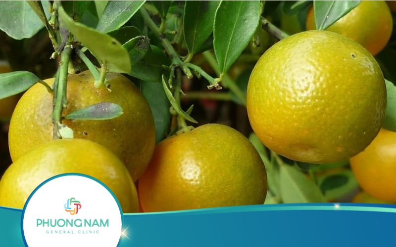Uống Nước Tắc Có Giảm Cân Không? 4 Công Thức Giảm Mỡ Bụng