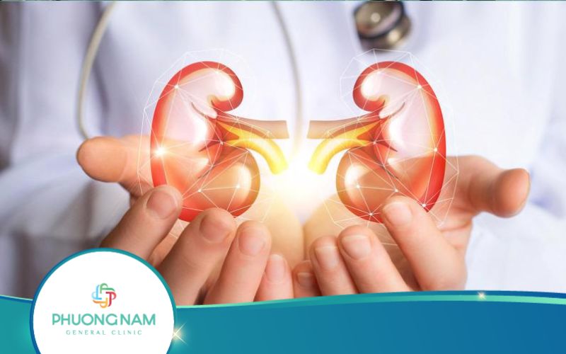 Uống Thuốc Giảm Cân Có Hại Thận Không?