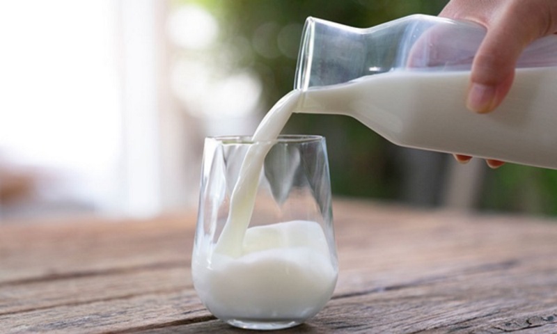 Uống sữa thúc đẩy quá trình trao đổi chất