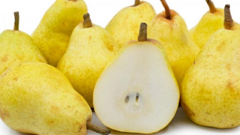 7 loại trái cây giúp giảm mỡ trong máu