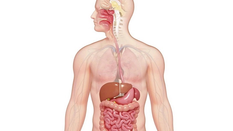 Tác hại của bánh tráng trộn