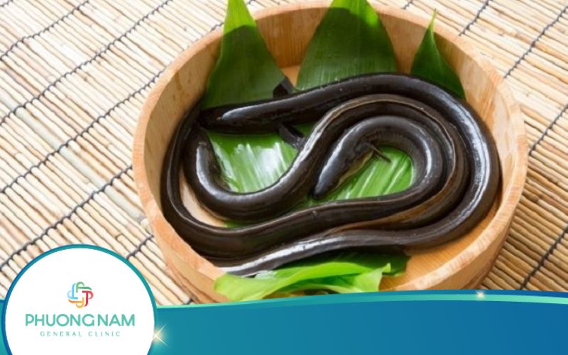 100G Lươn Chứa Bao Nhiêu Calo? Ăn Lươn Béo Không?