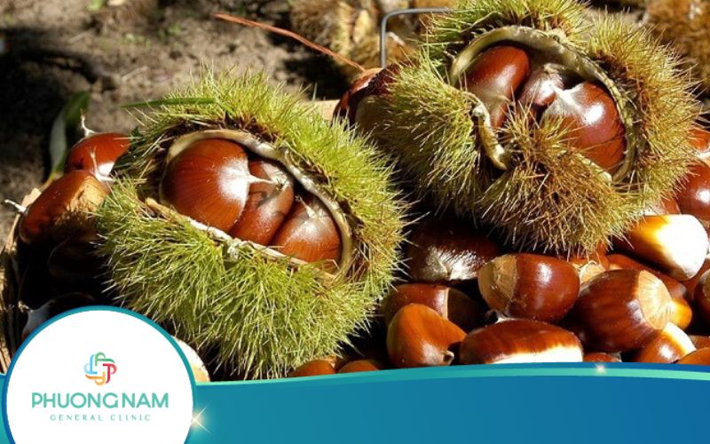 Hạt Dẻ Bao Nhiêu Calo? Ăn Hạt Dẻ Có Béo Không?