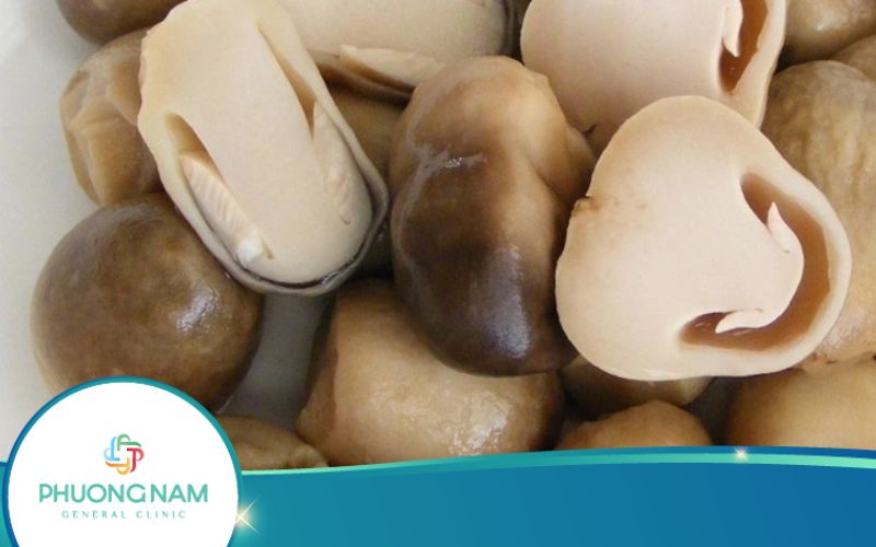 Nấm Rơm Chứa Bao Nhiêu Calo? Ăn Nấm Rơm Có Béo Không?
