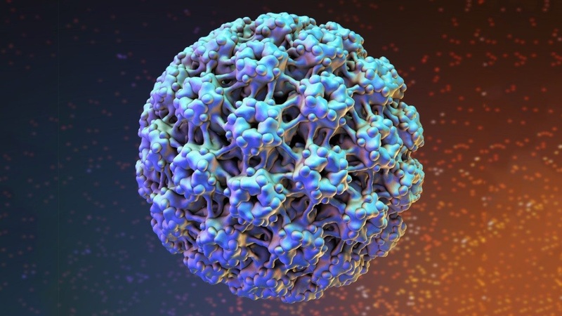 Virus HPV là gì?