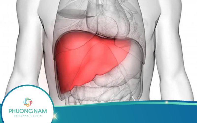 7 Thực Phẩm Giải Độc Gan Hiệu Quả