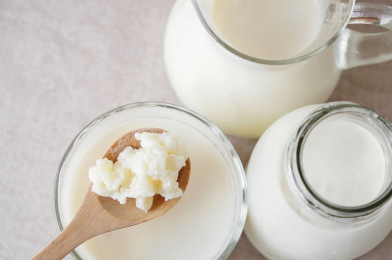 Probiotic có ảnh hưởng tích cực đến vi khuẩn đường ruột, tốt cho hệ tiêu hóa của người cao tuổi.
