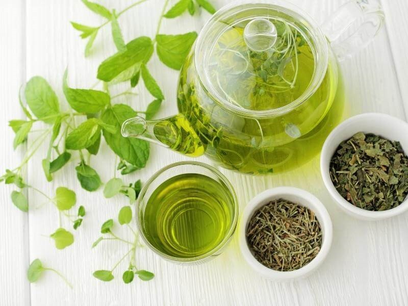 Nếu bạn đang thắc mắc người bệnh tiểu đường nên uống gì, thì trà xanh là một sự lựa chọn không tồi.