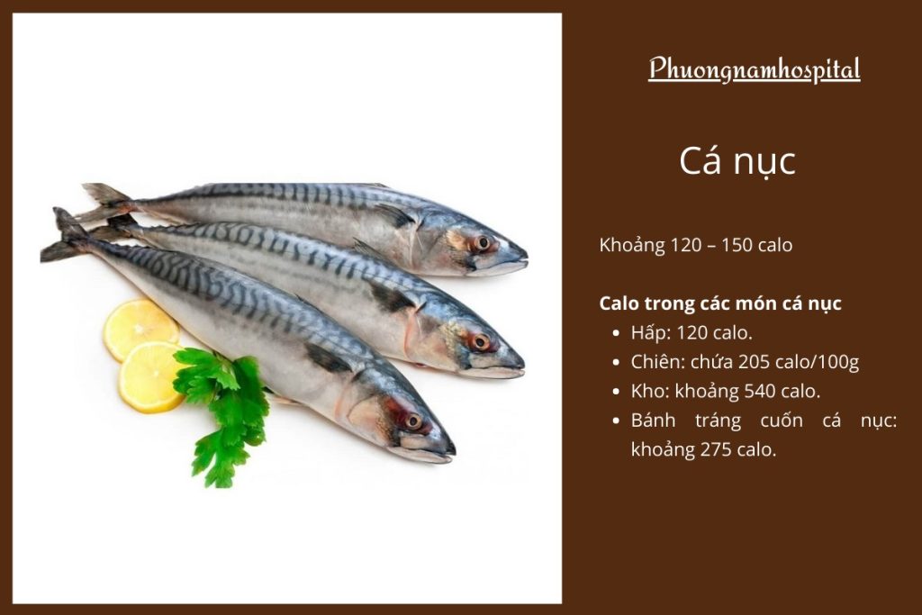 1 Con Cá Nục Bao Nhiêu Calo? Bật Mí Giá Trị Dinh Dưỡng
